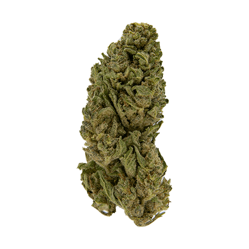 Exclusive - Town Cookies (H) - 28g