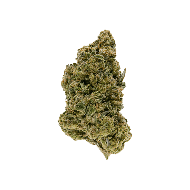 Signature - Girl Scout Cookies (H) - 28g