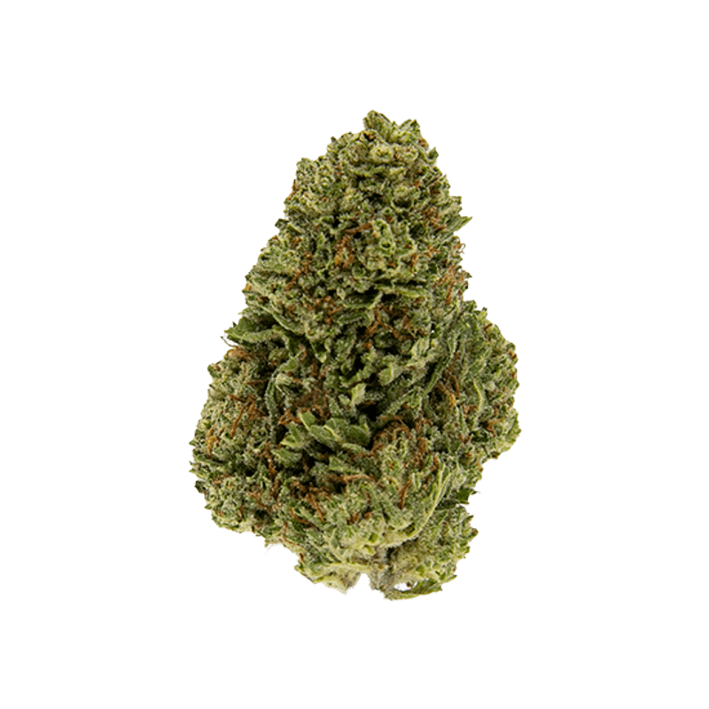 Exotix - Venom OG (I) - 14g