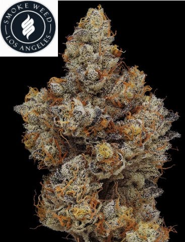 Smoke Weed LA - Falcon 9 1g