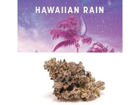Cookies - Hawaiian Rain