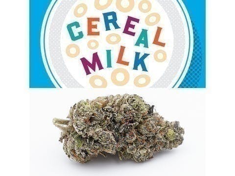 Cookies - Cereal Milk