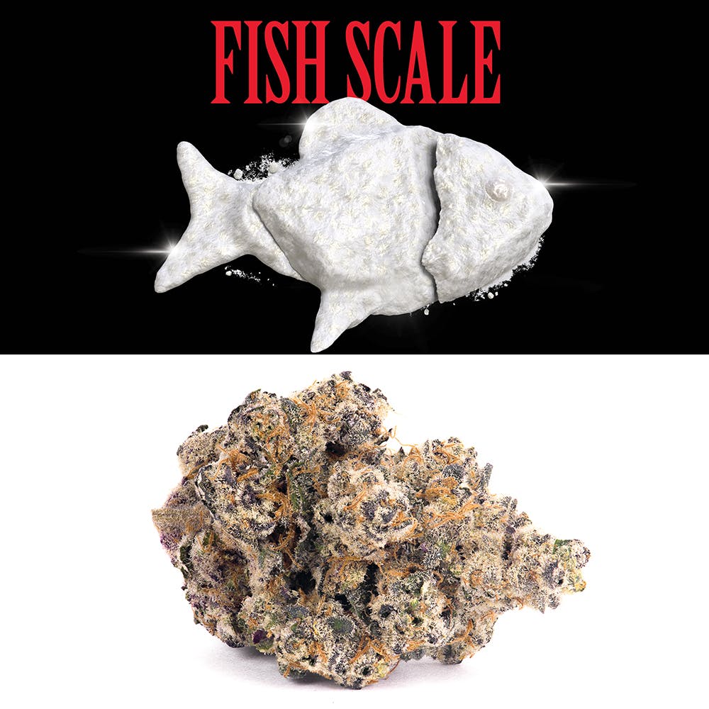 Cookies - Fish Scale