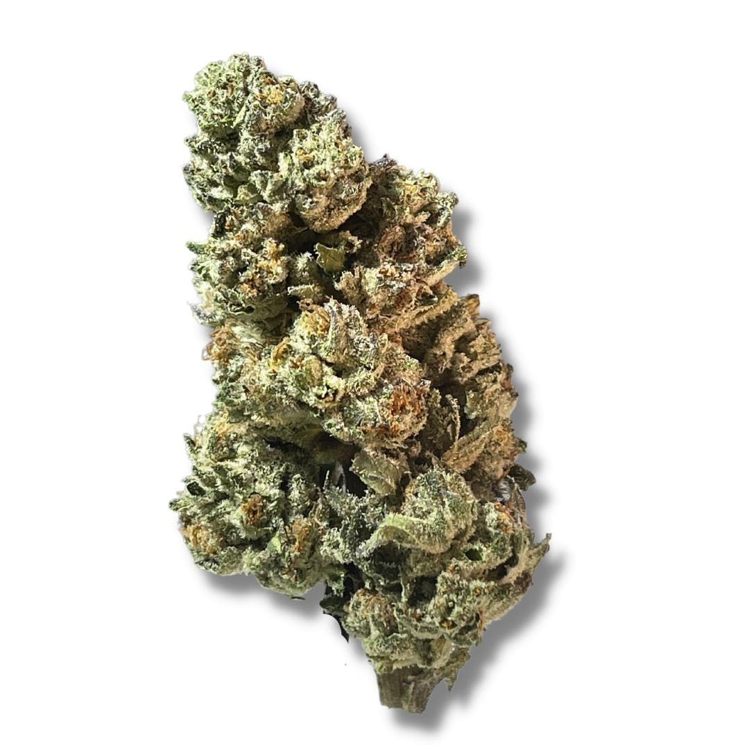 Exotix - Oreoz (H) - 14g