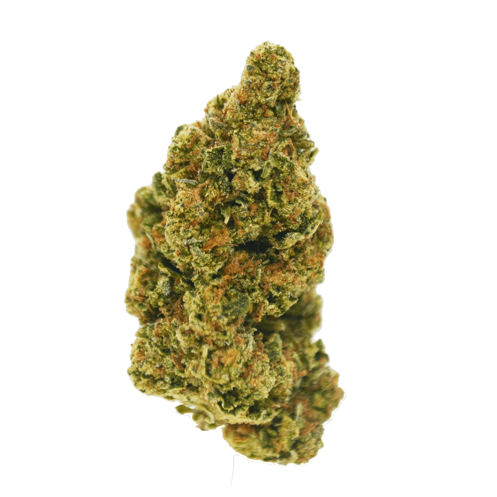 Black - Pancake (H) - 14g