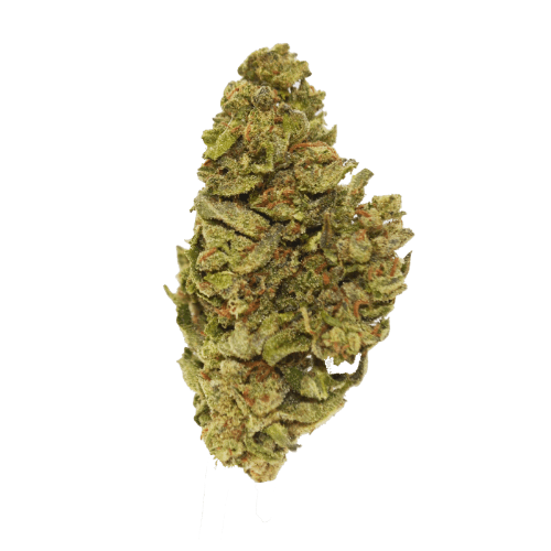 Exclusive - Black Mamba (H) - 28g