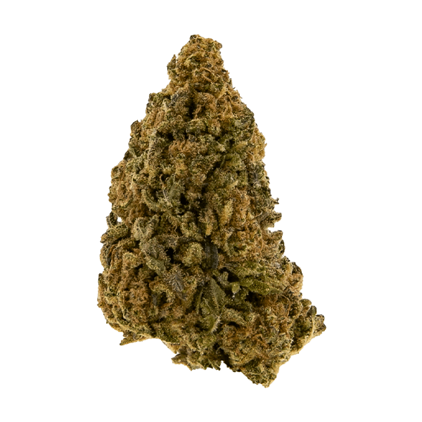 Black - Sac Cookies (I) - 14g