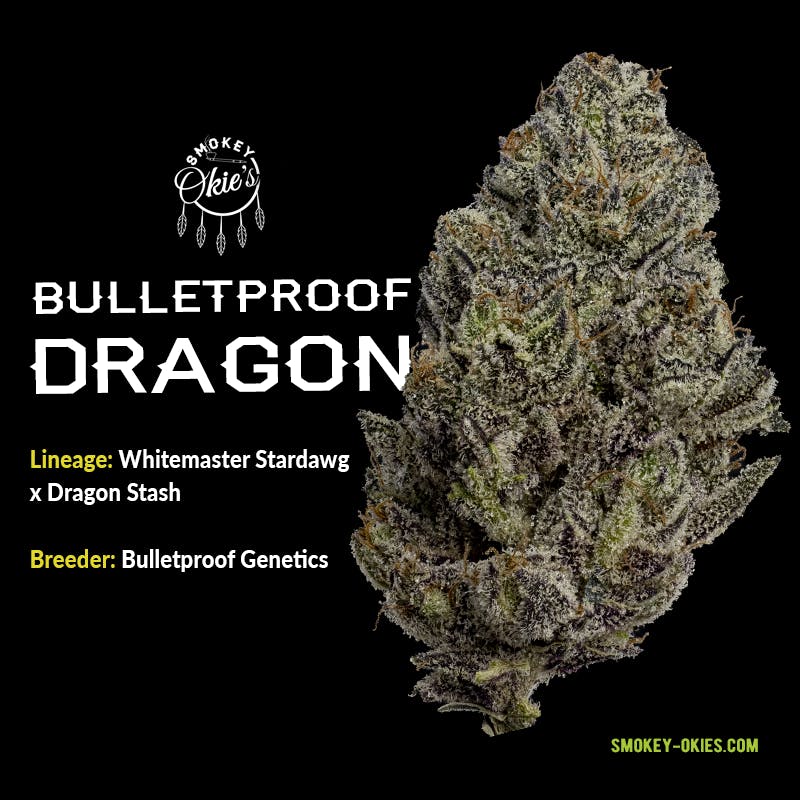 Bulletproof Dragon by Smokey Okies