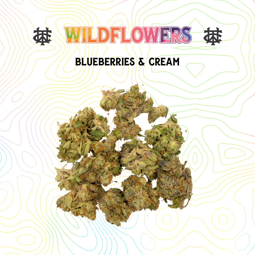 Blueberries & Cream | 3.5g | Mixed Light