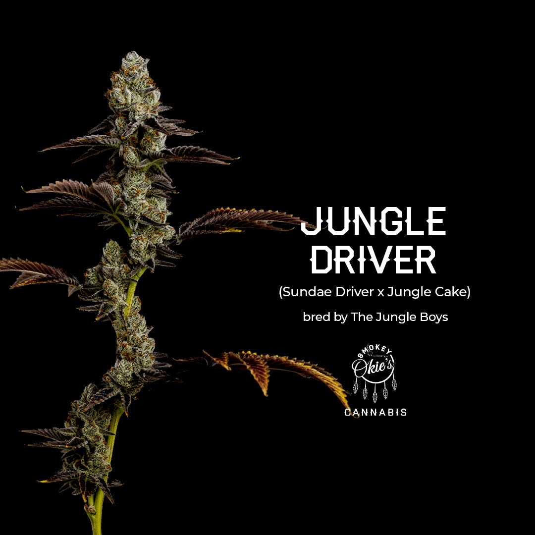 JUNGLE DRIVER by Smokey Okies
