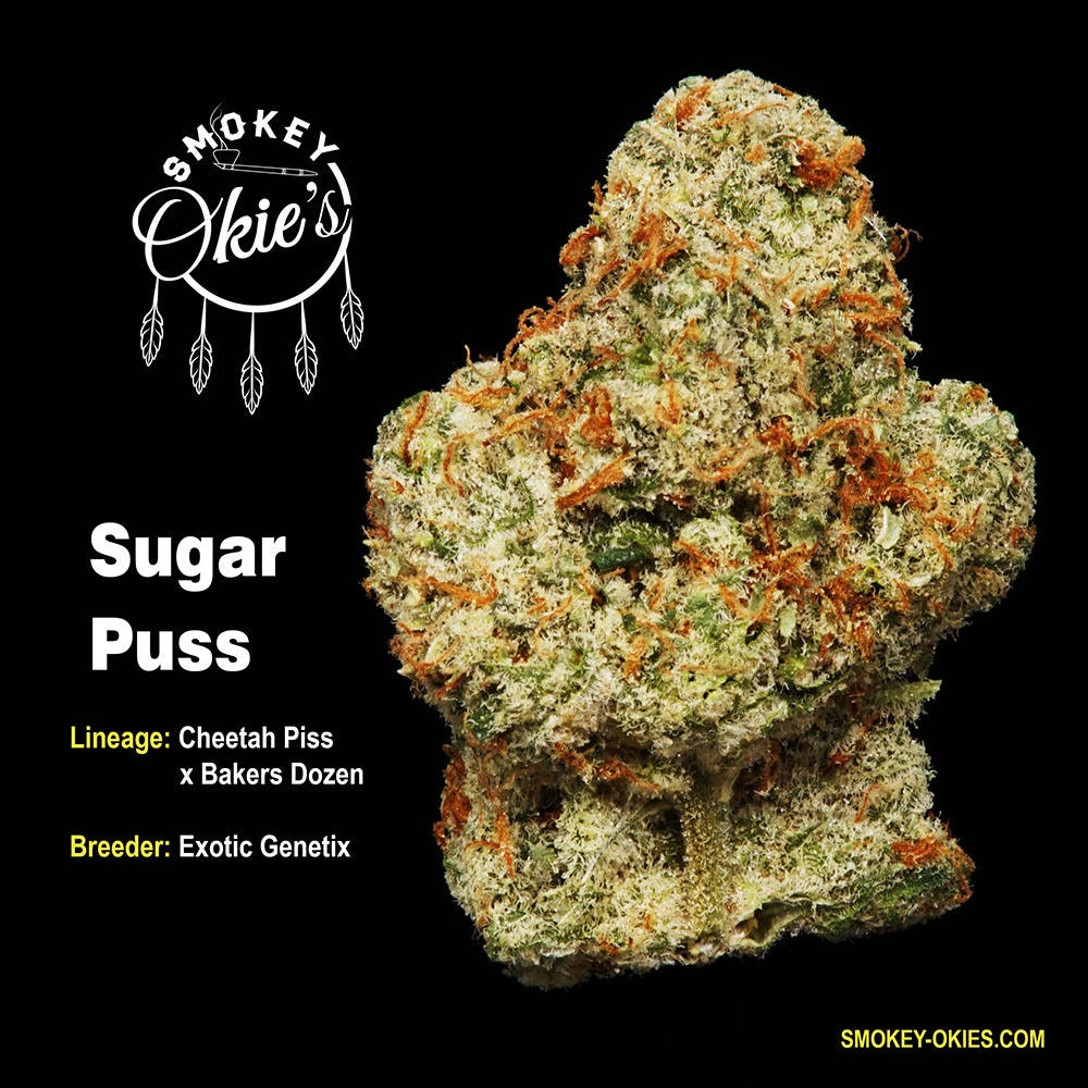 SUGAR PUSS by Smokey Okies