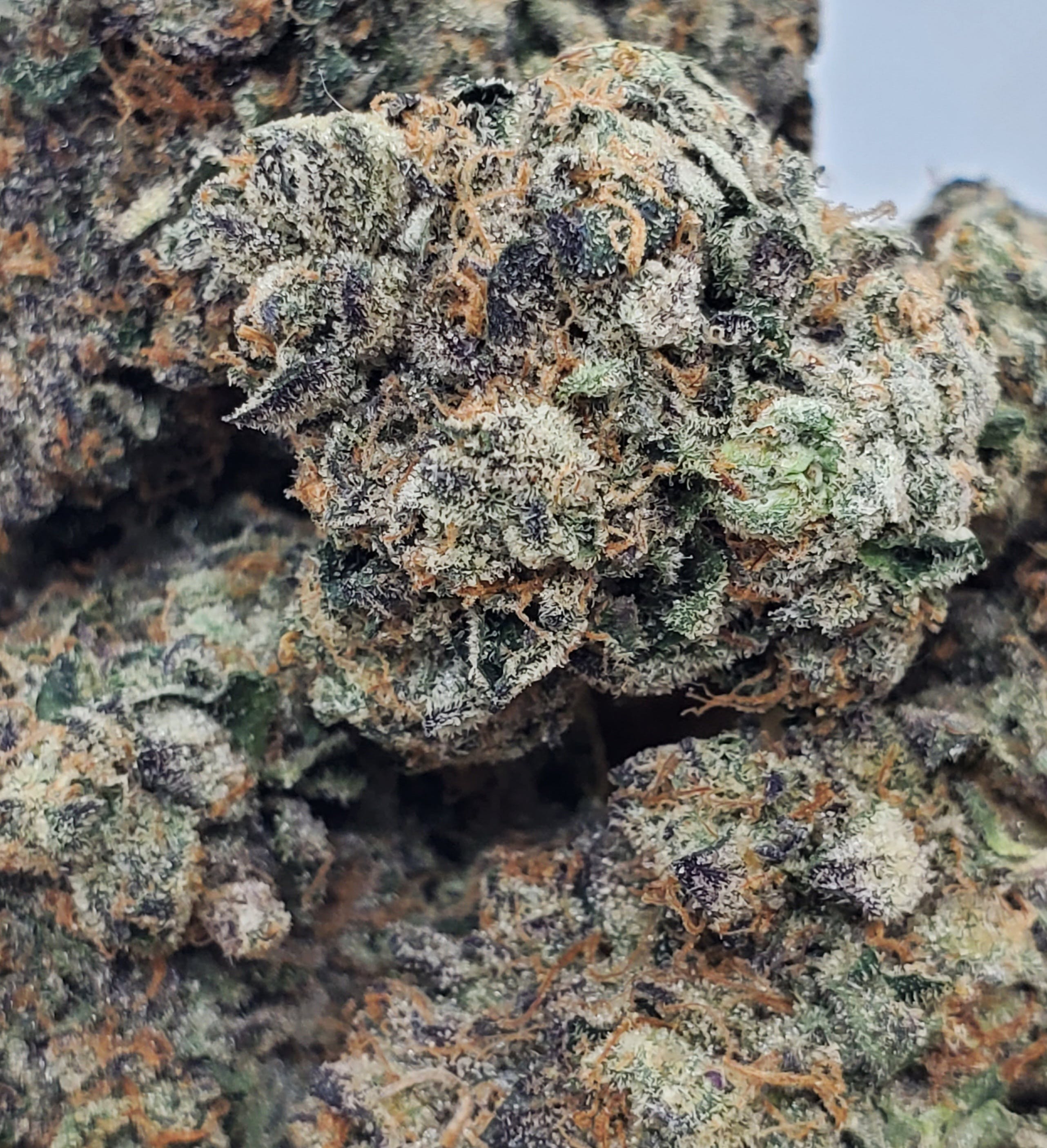 Guava Gelato