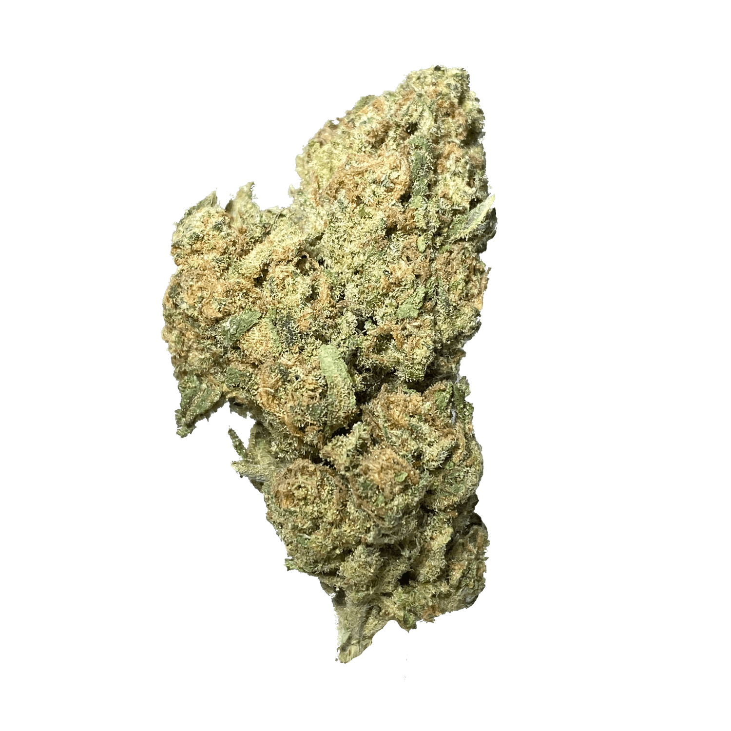 Exotix - SFV OG (H) - 14g