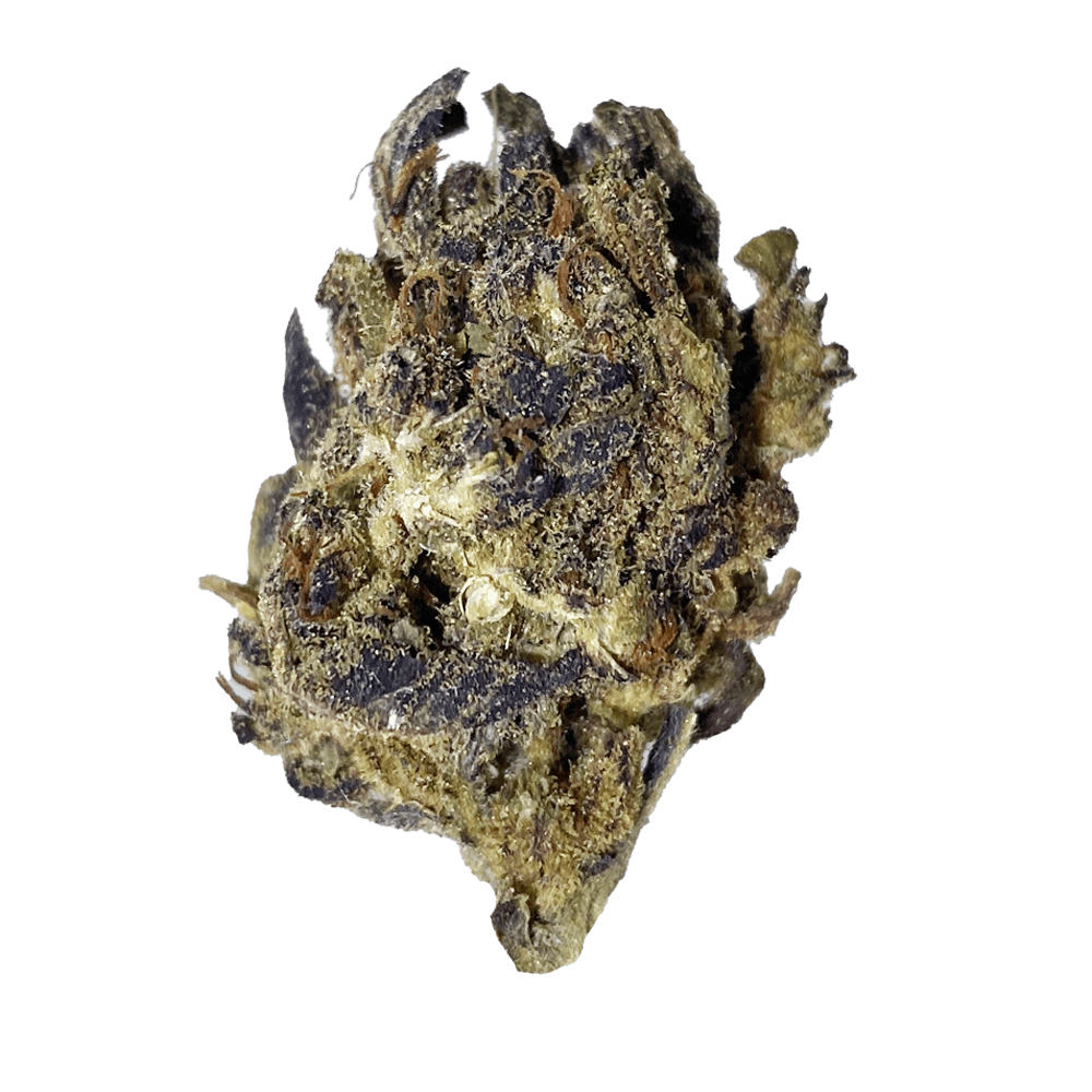 Exclusive - Purple Cookies (H) - 28g