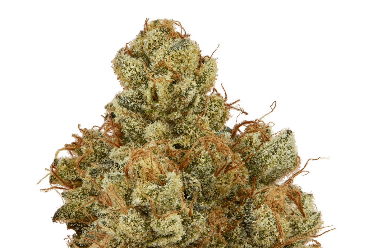 Ghost Cherry Limeade