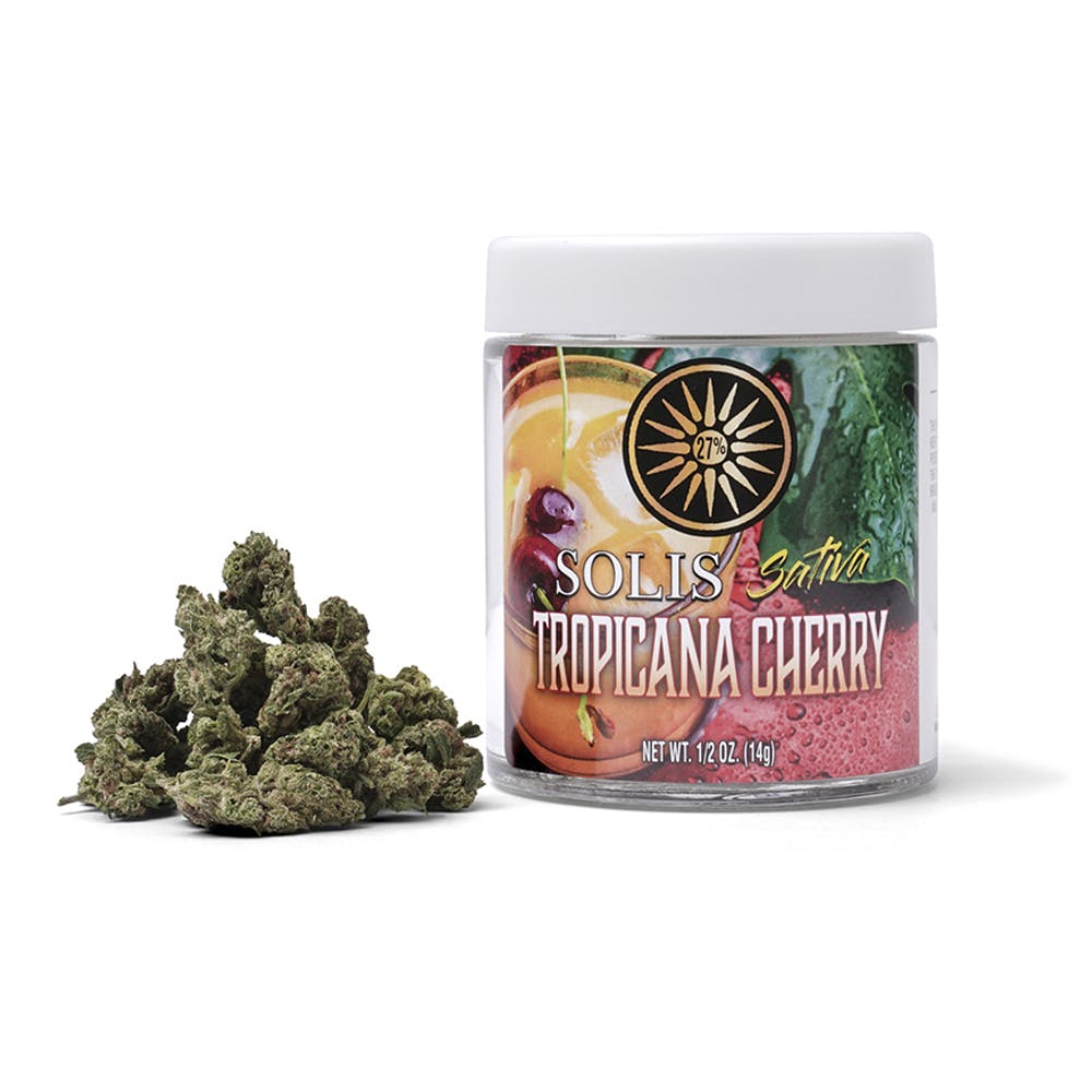 Tropicana Cherry | Jarred Flower (14g) - Indica