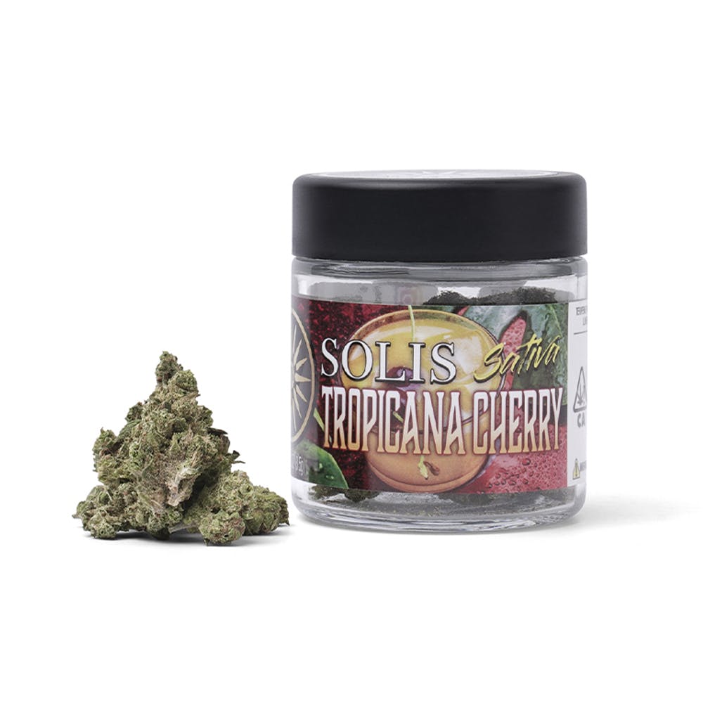 Tropicana Cherry | Jarred Flower (3.5g) - Indica