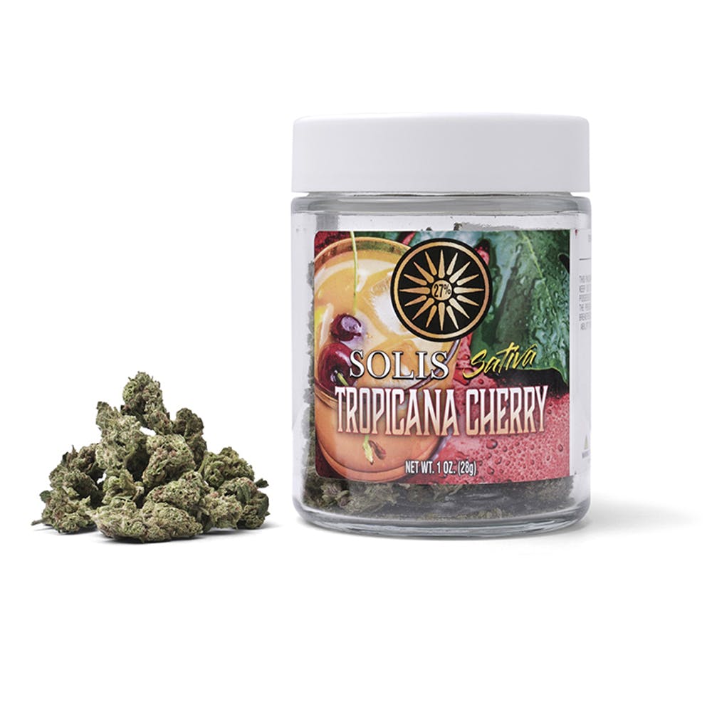 Tropicana Cherry | Jarred Flower (28g) - Indica