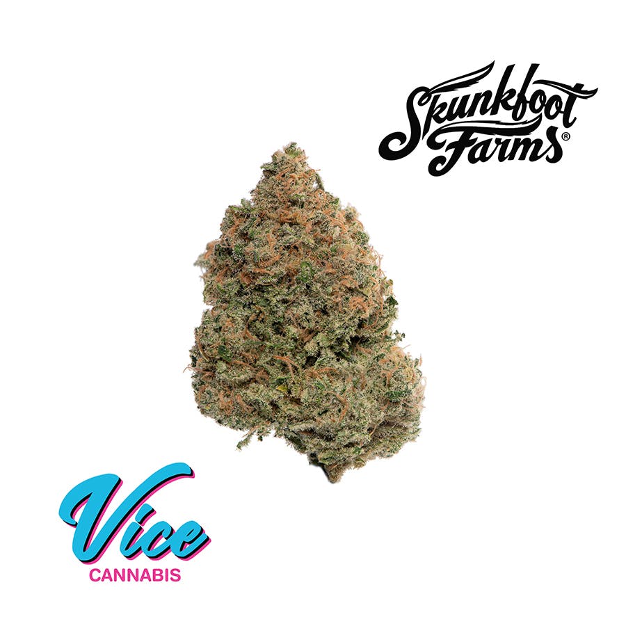 Skunkfoot Farms - Pink Lemonade: Flower