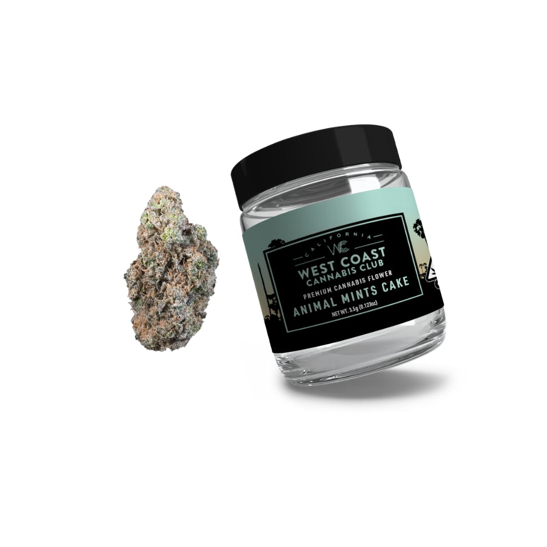 WCC | Animal Mints Cake