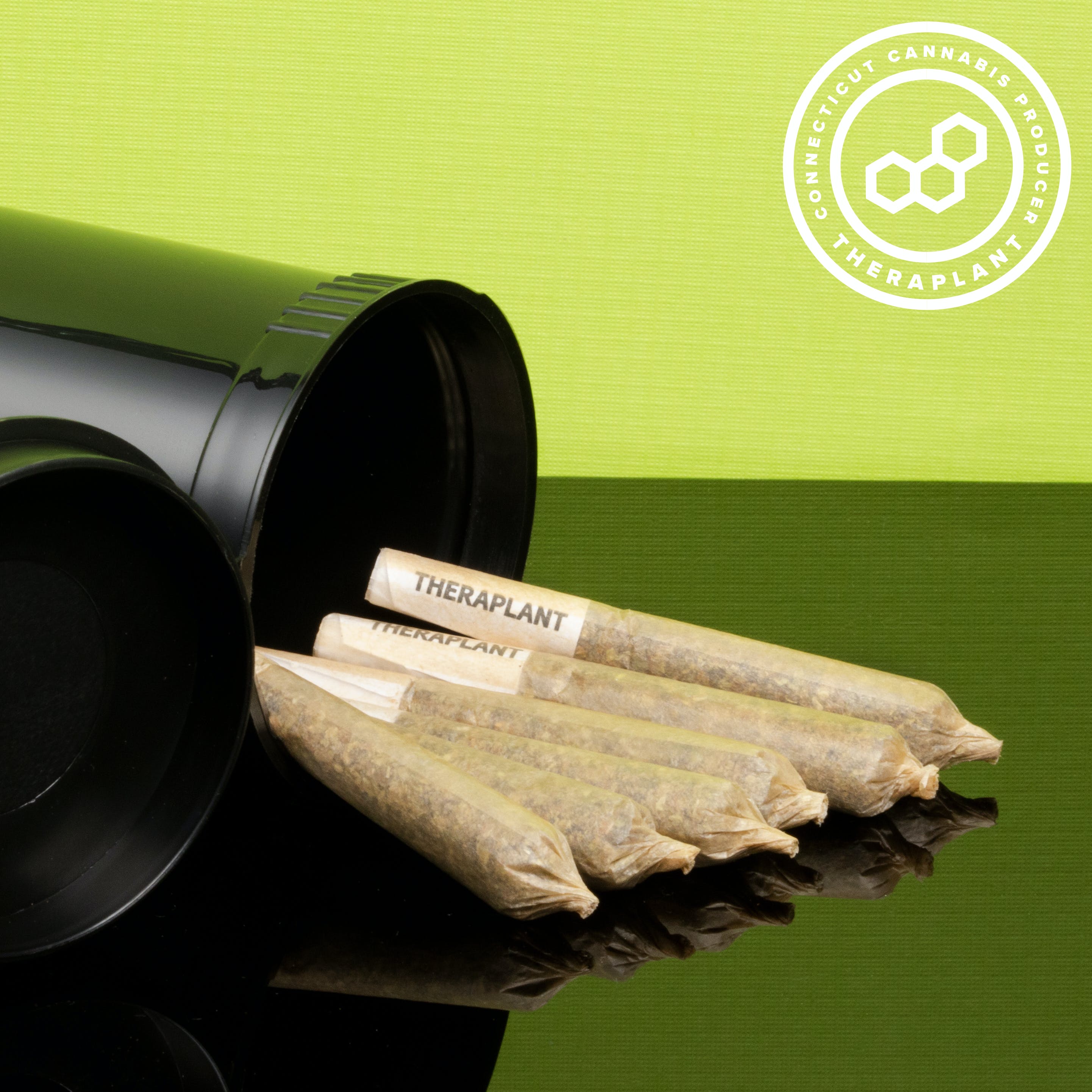 Zonbrid T28.5 PR Minis 16610