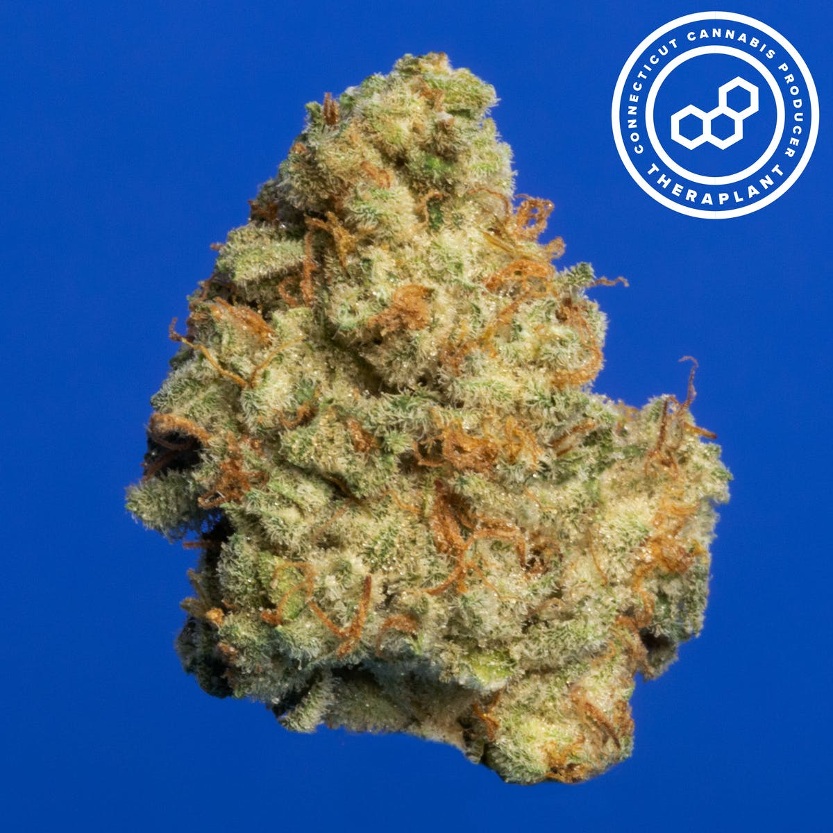 Truthica T23.7 16572