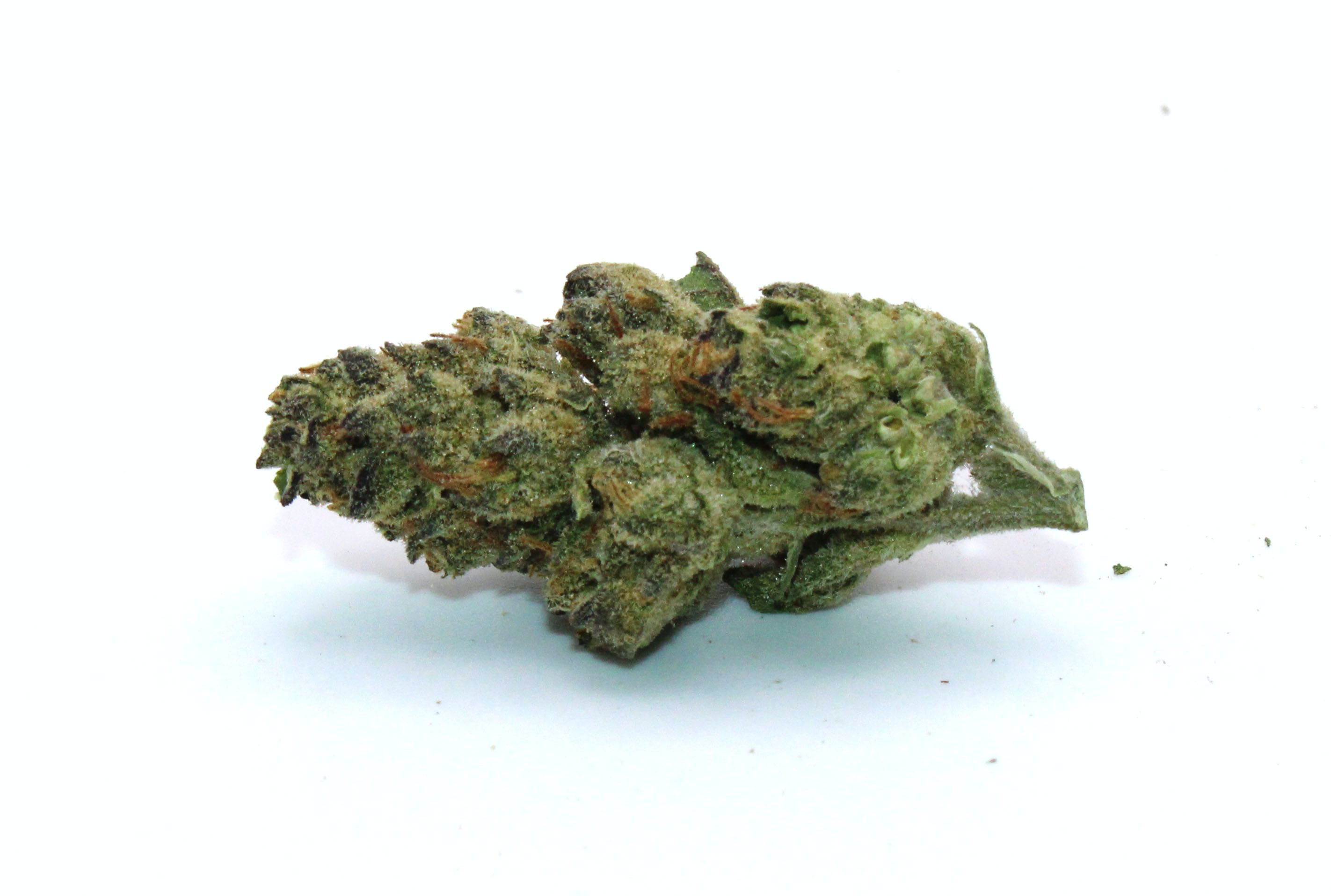 Cheetah Piss Smalls Ounce/28.3Grams(26%THC,HYBRID)