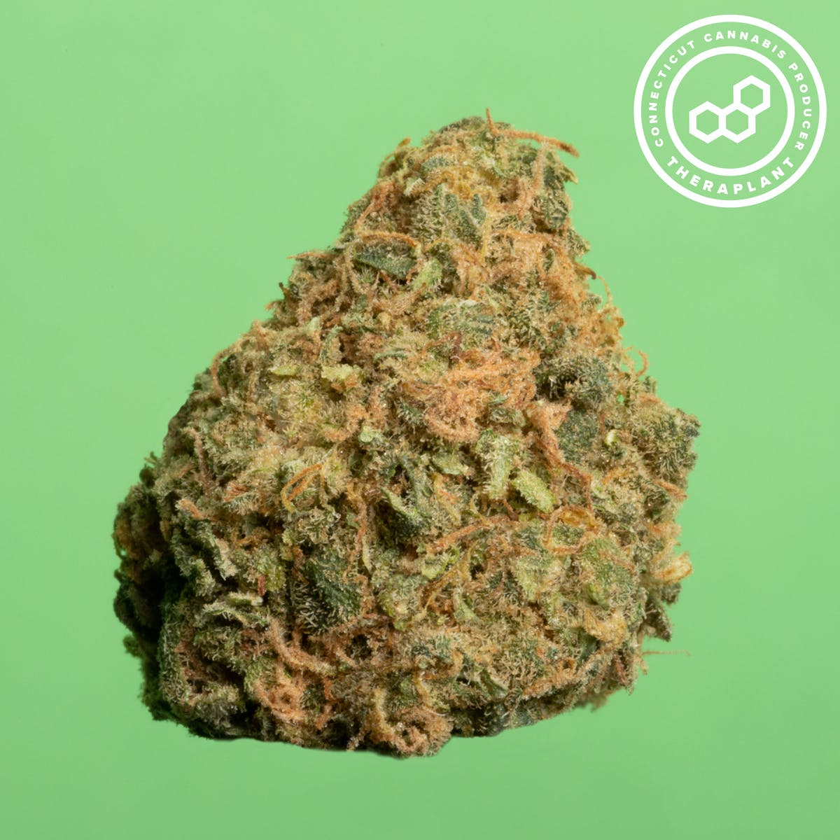 Tigerbrid T23.4 16564