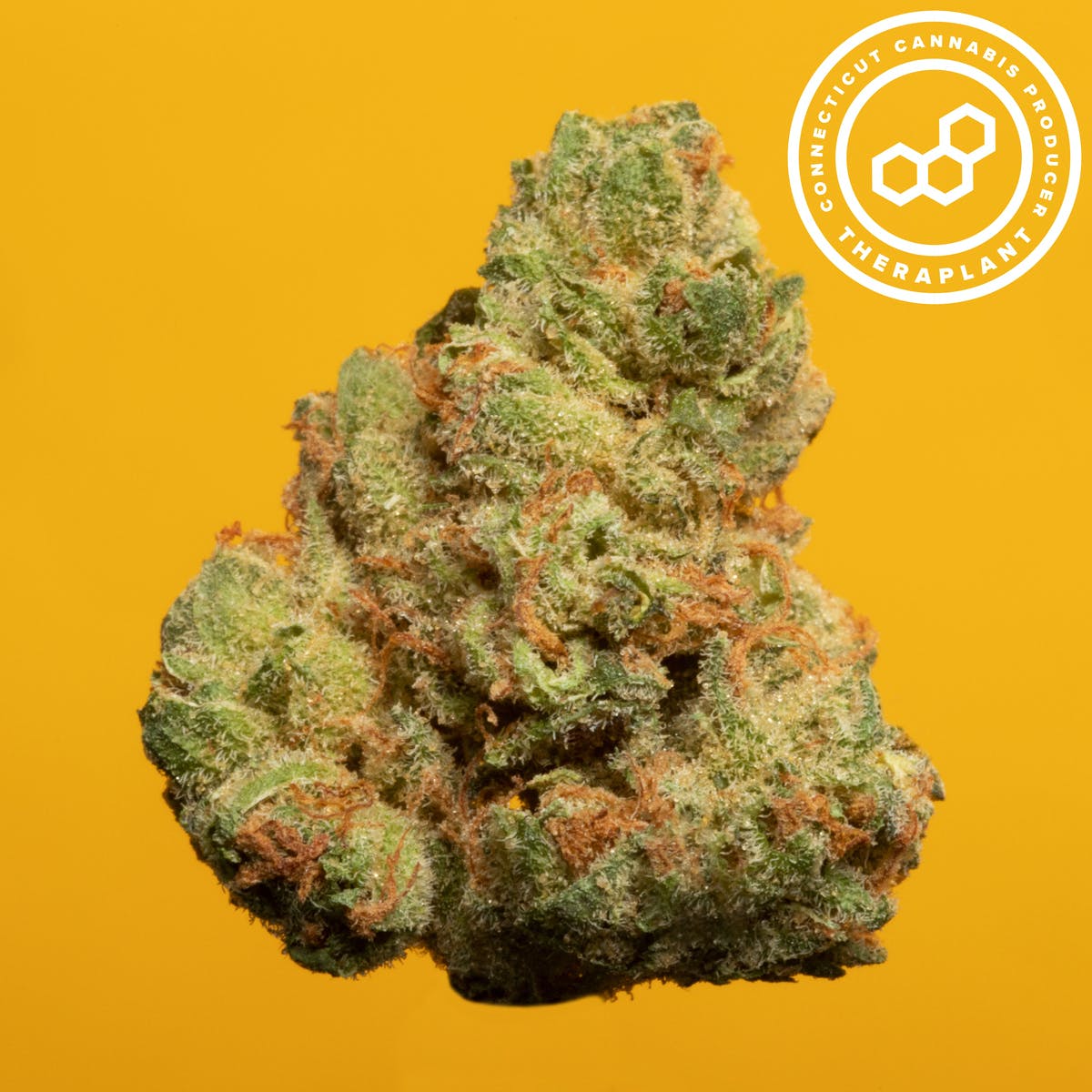 Deeziva T25.9 18295 Flower