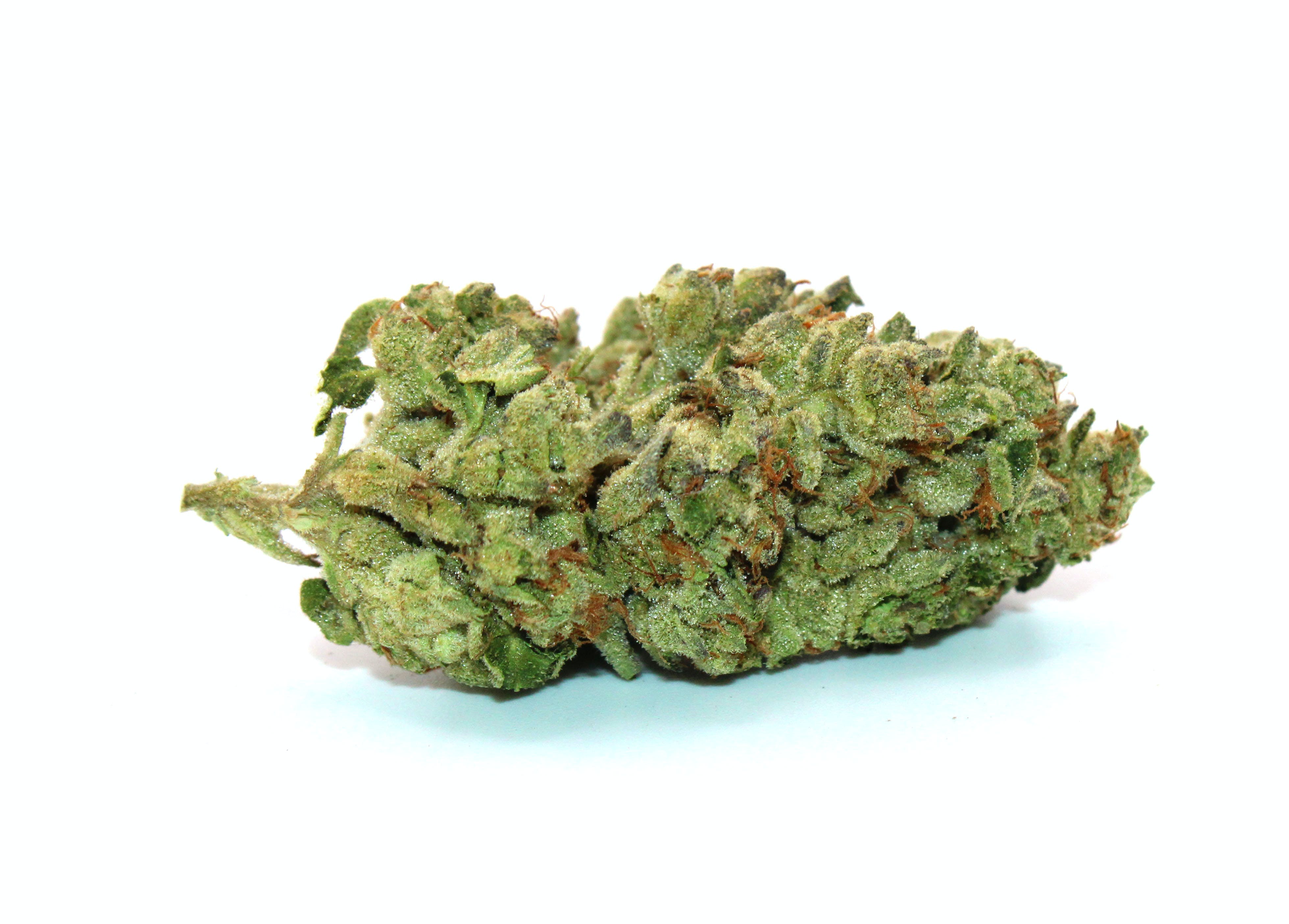 Gary Payton 1/2 Ounce/14 Grams(29%THC,HYBRID)