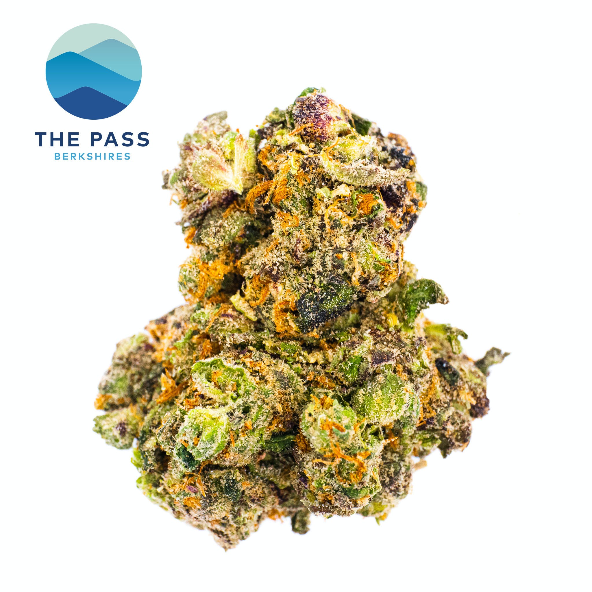 GMO x Rootbeer | T2 3.5g