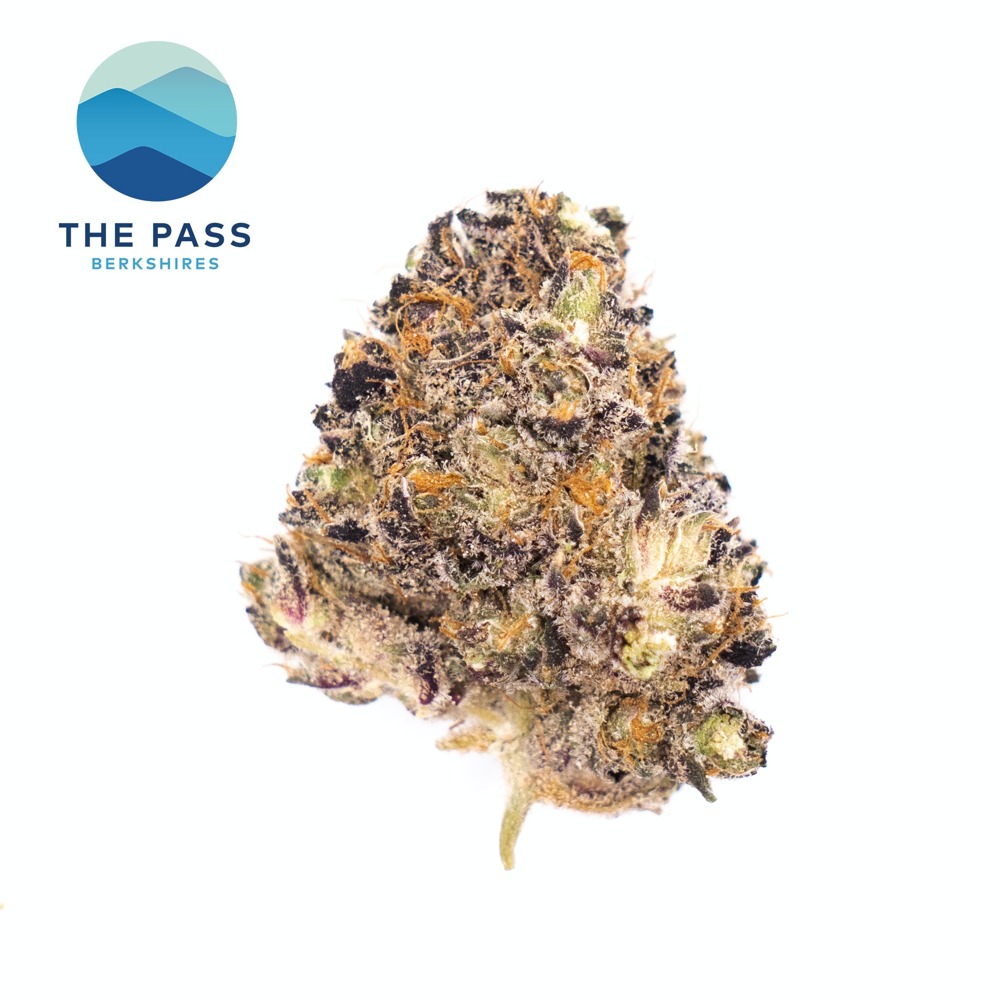 Capstone | Sungrown | T3 | 3.5g