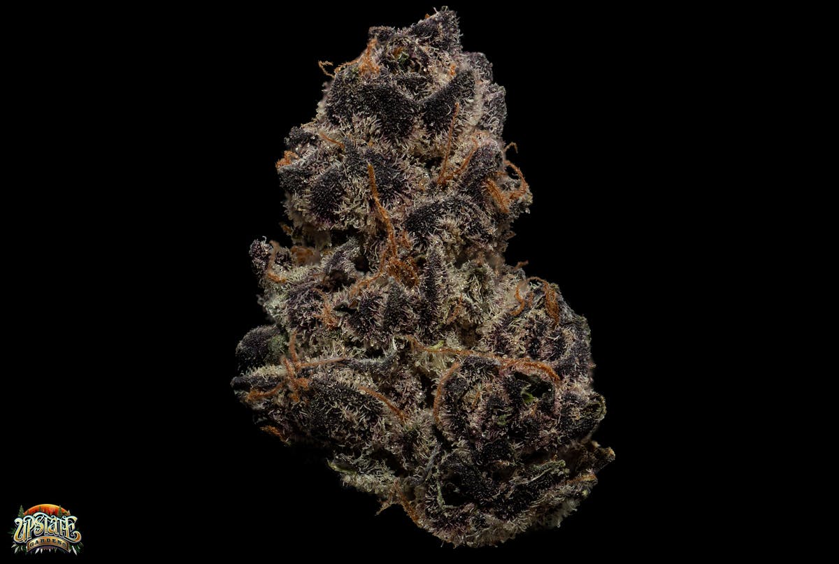 Flower: Tropicana Cookies