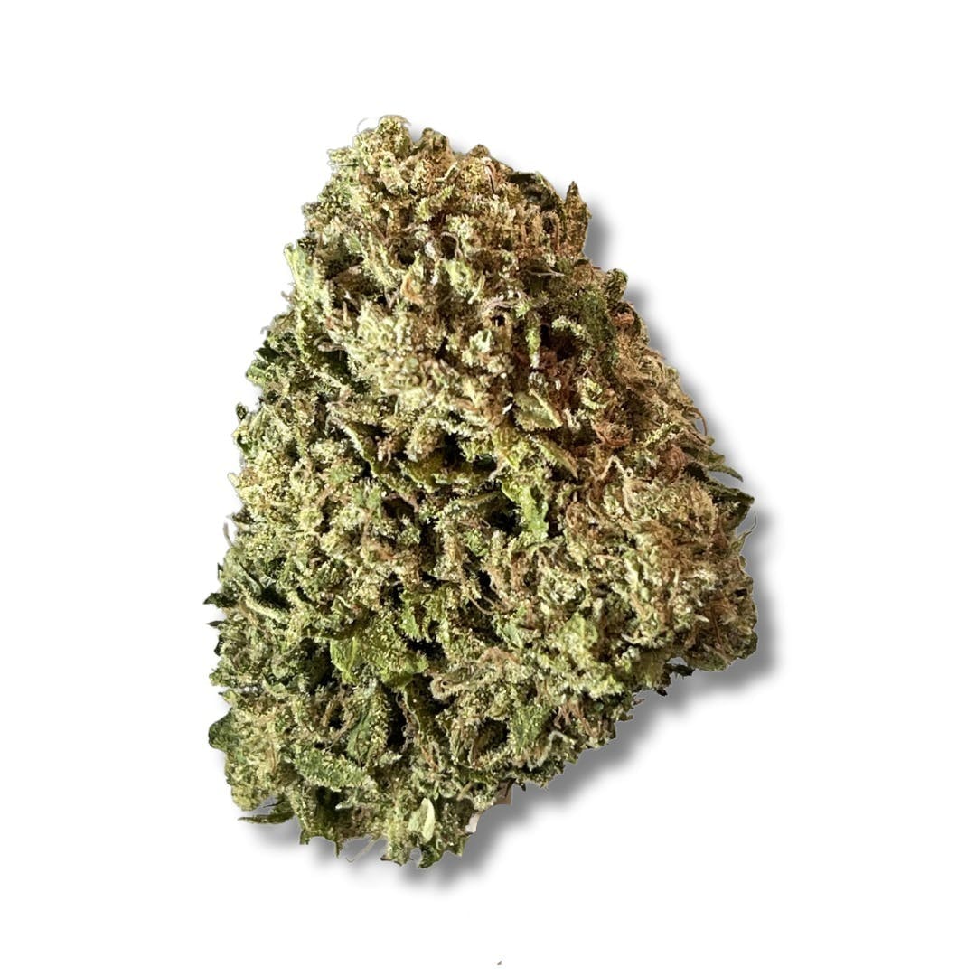 Exotix - White Runtz (H) - 14g