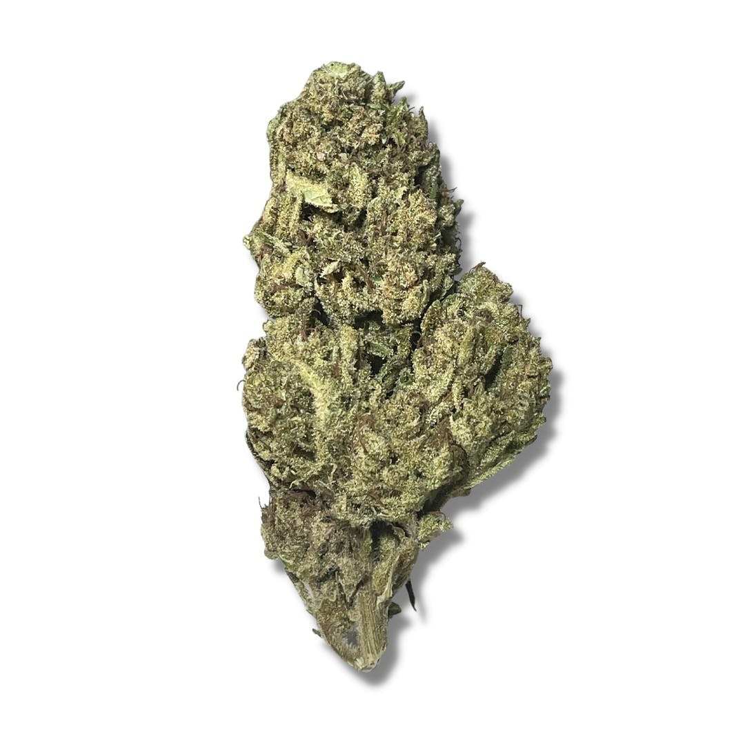 Black - The Boost (H) - 14g