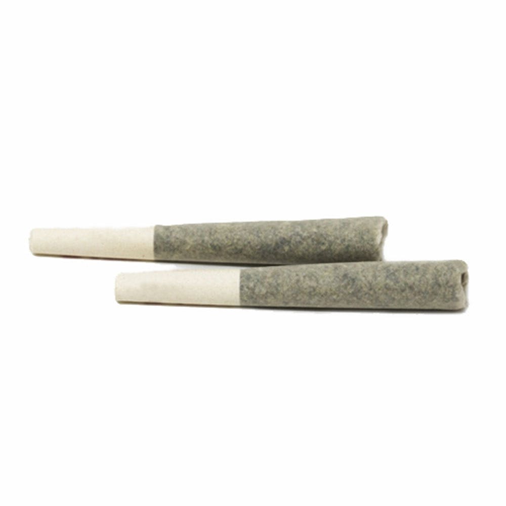 Citral Glue Pre-Rolls