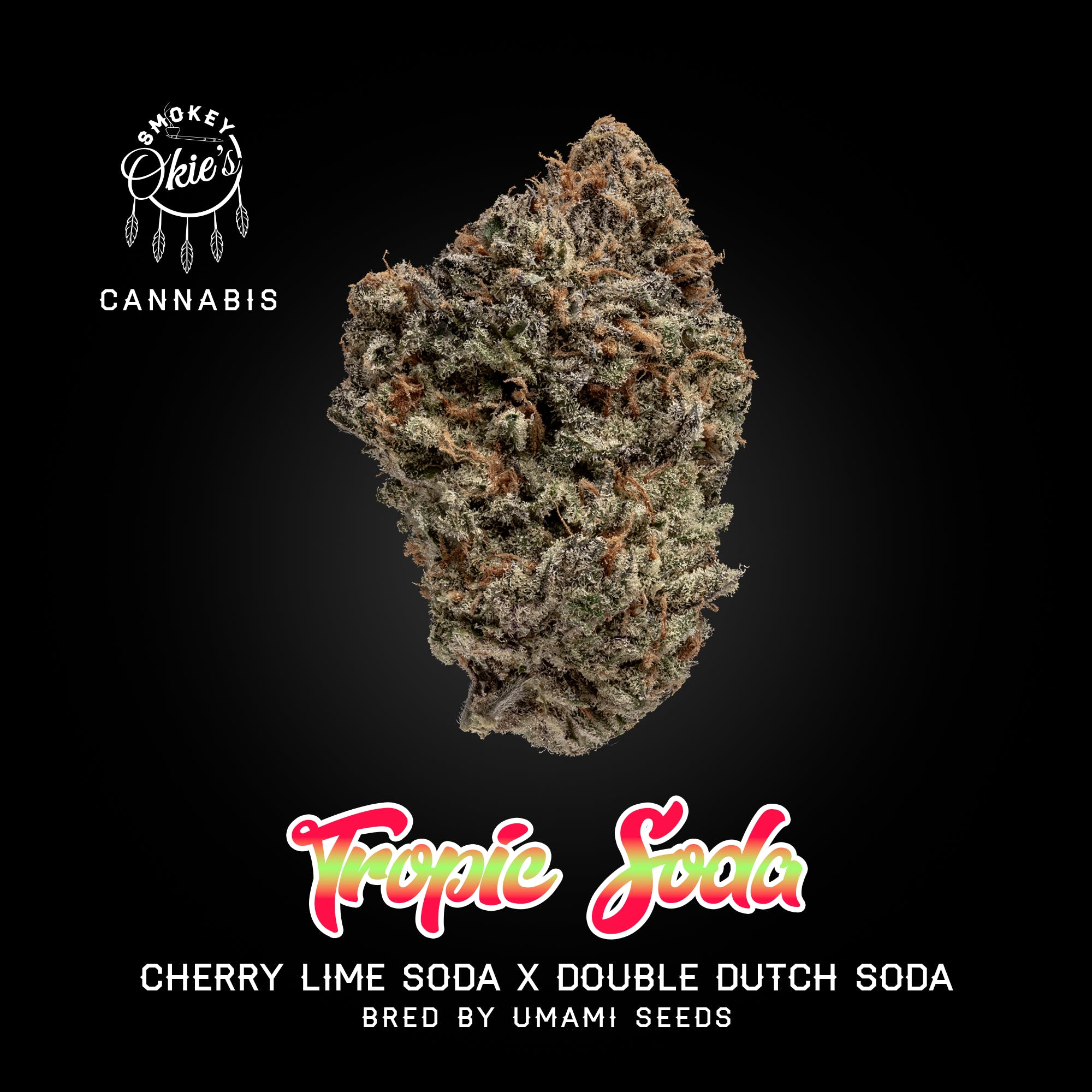 Tropic Soda by Smokey Okies