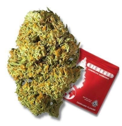 Big Tree - Jelly Donut - 14g