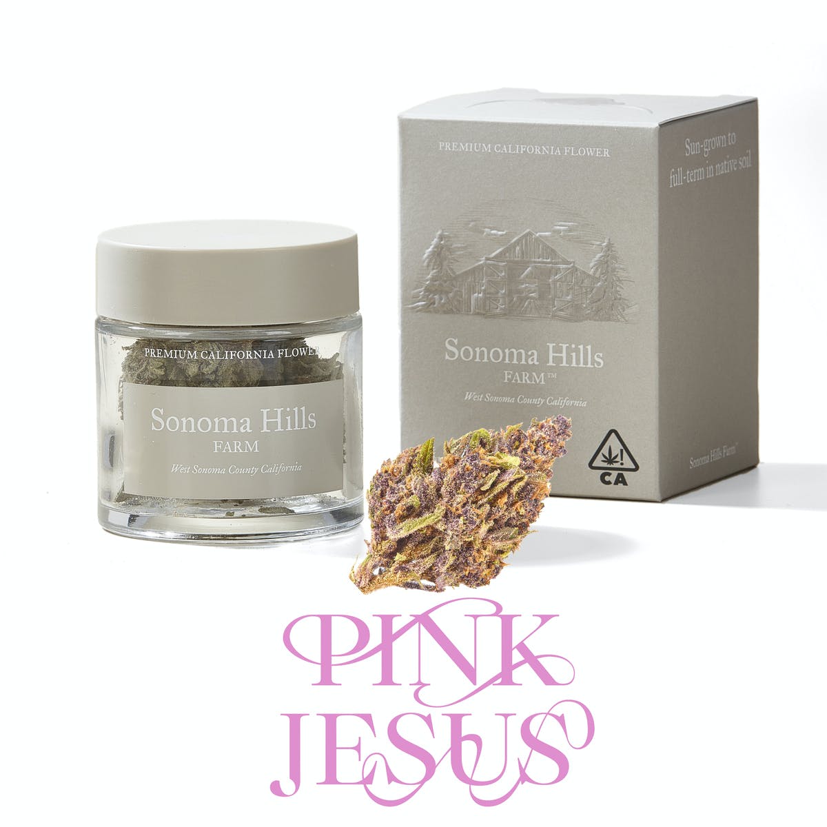 Pink Jesus 1/8th
