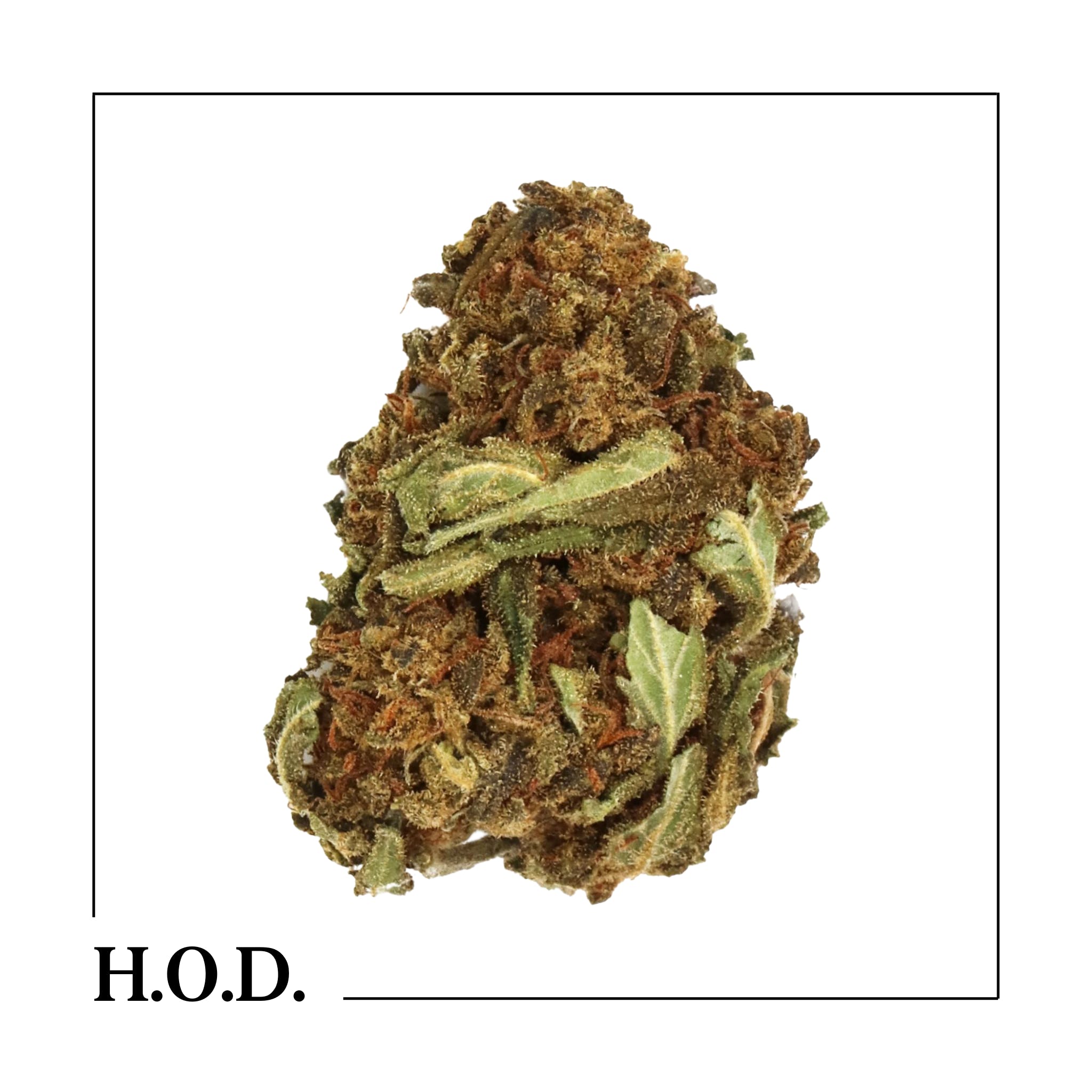 H.O.D. CBD Cherry Blossom 3.5g