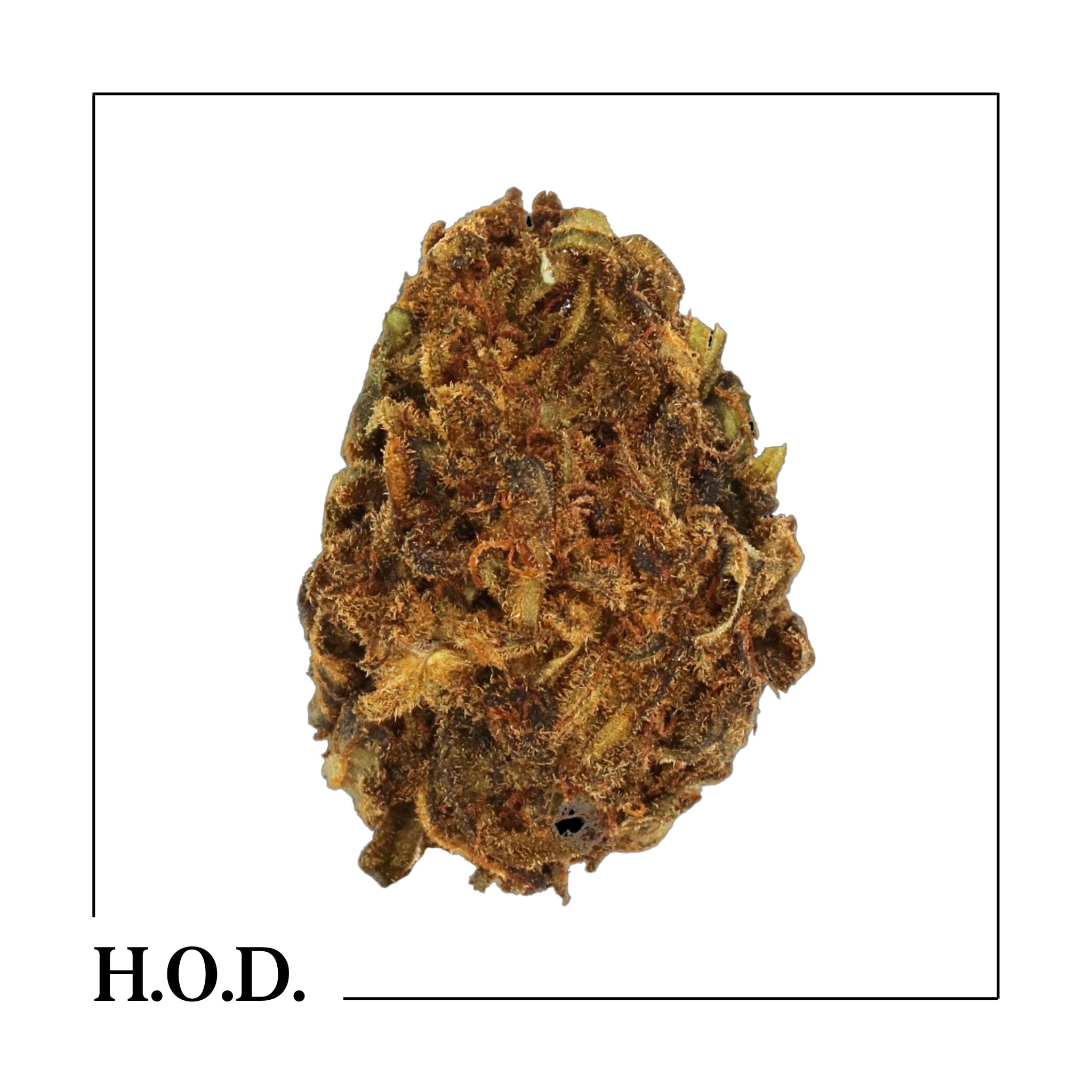 H.O.D. CBD Suver Haze 5g