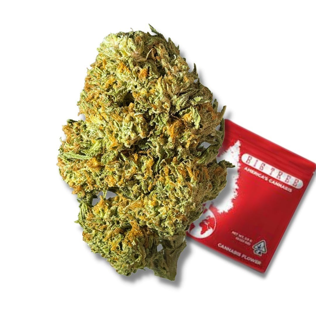 Big Tree - Vanilla Bean (H) - 14g