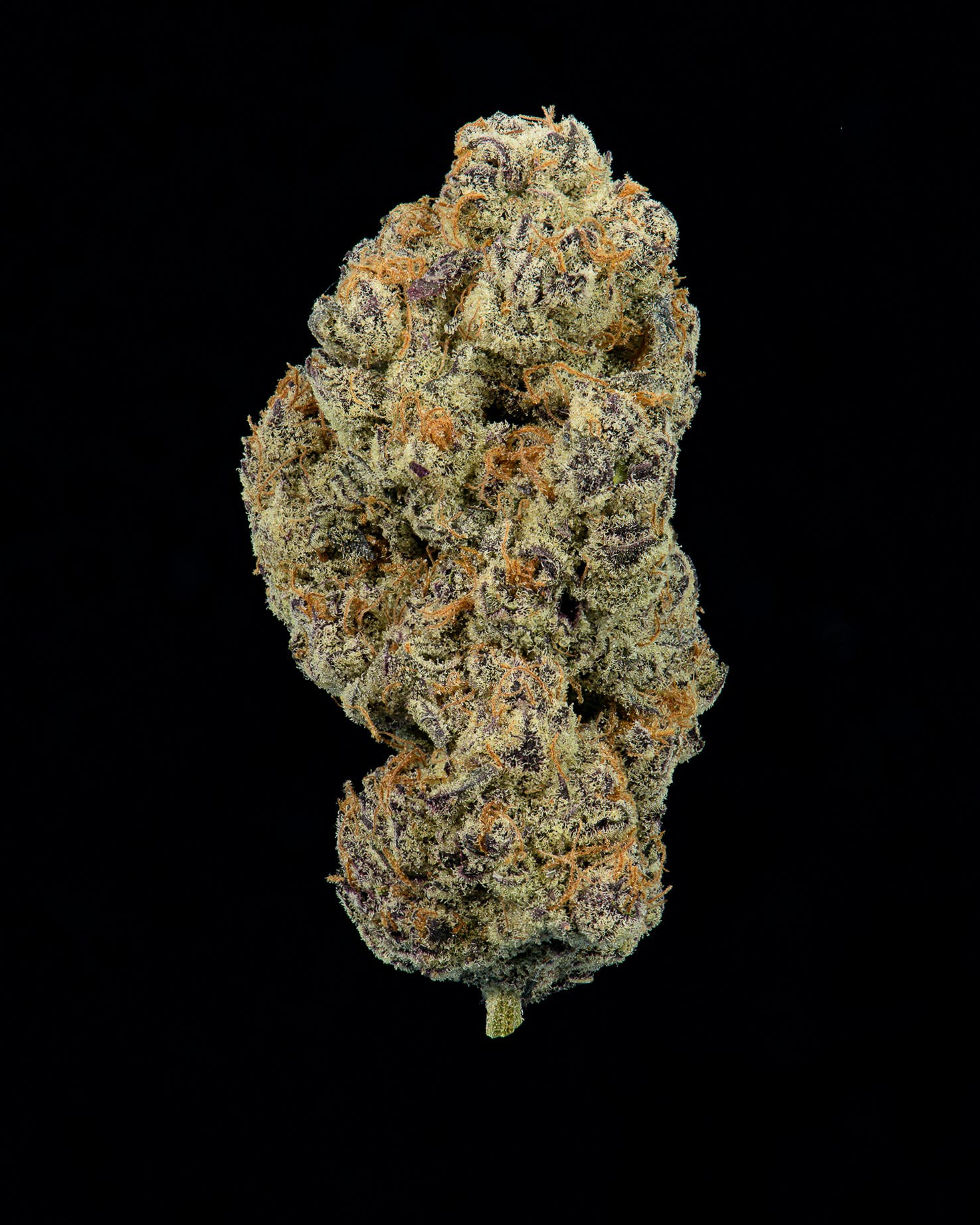 Cookies - Micro Batch R&D - Chimera (White Truffle x The Creature)