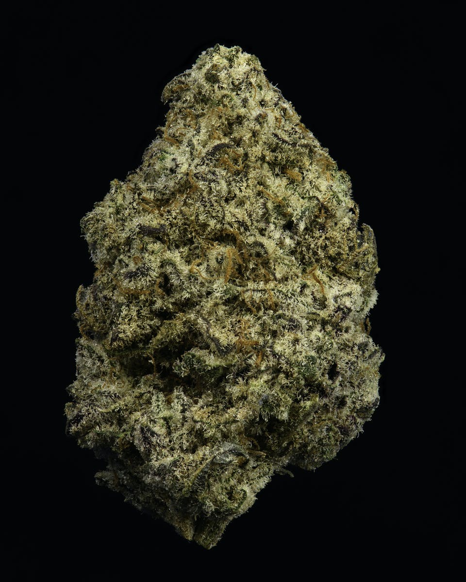 Cookies - Micro Batch R&D - Gelato x Wedding Cake