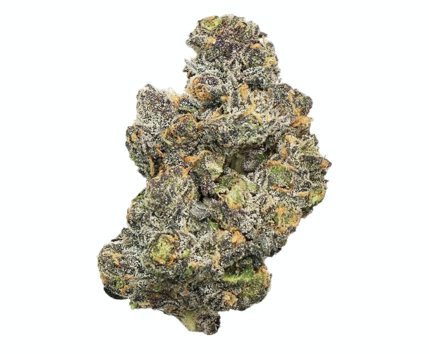 Platinum Cherry Gelato