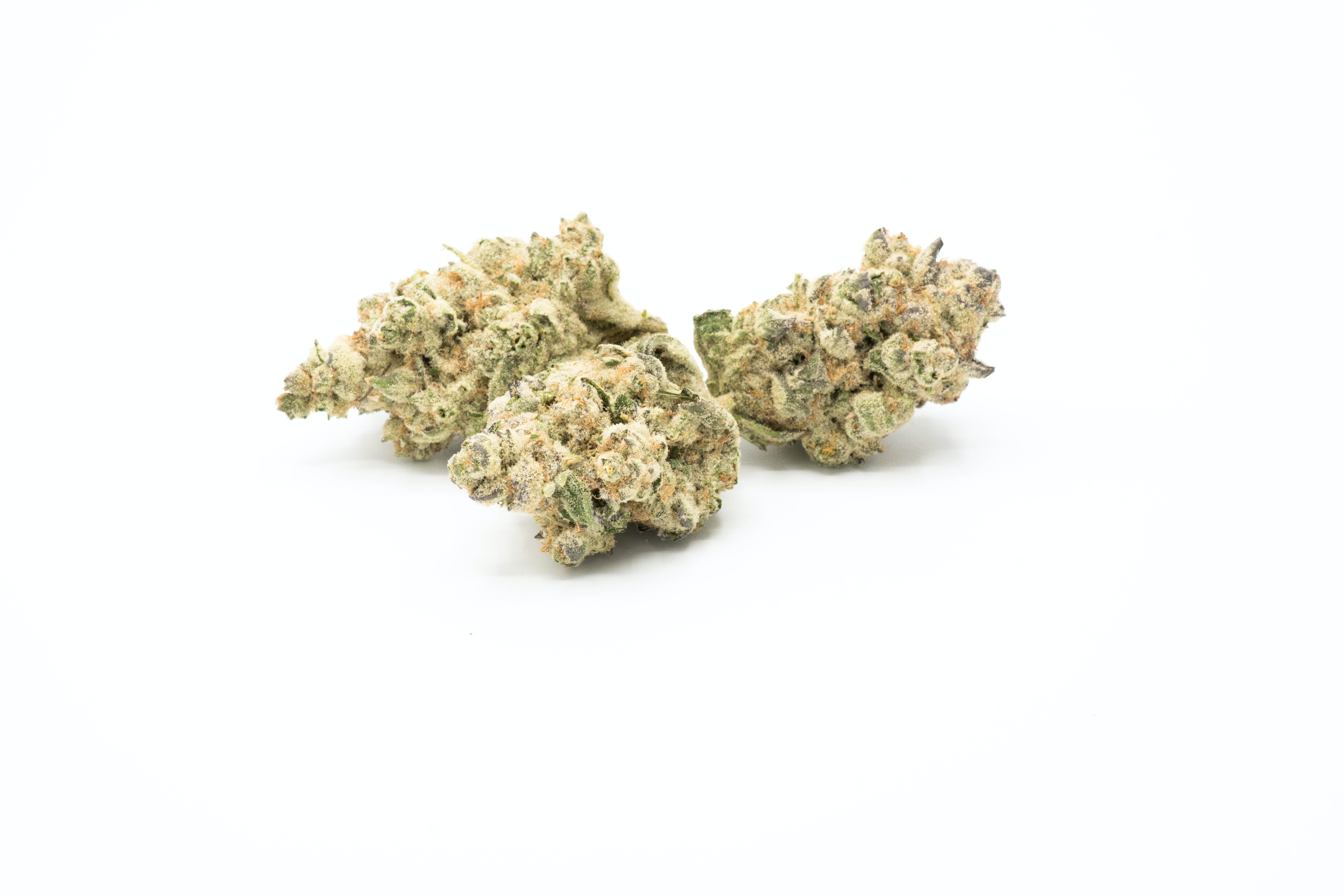 Animal Cookies Crisp 1g Flower