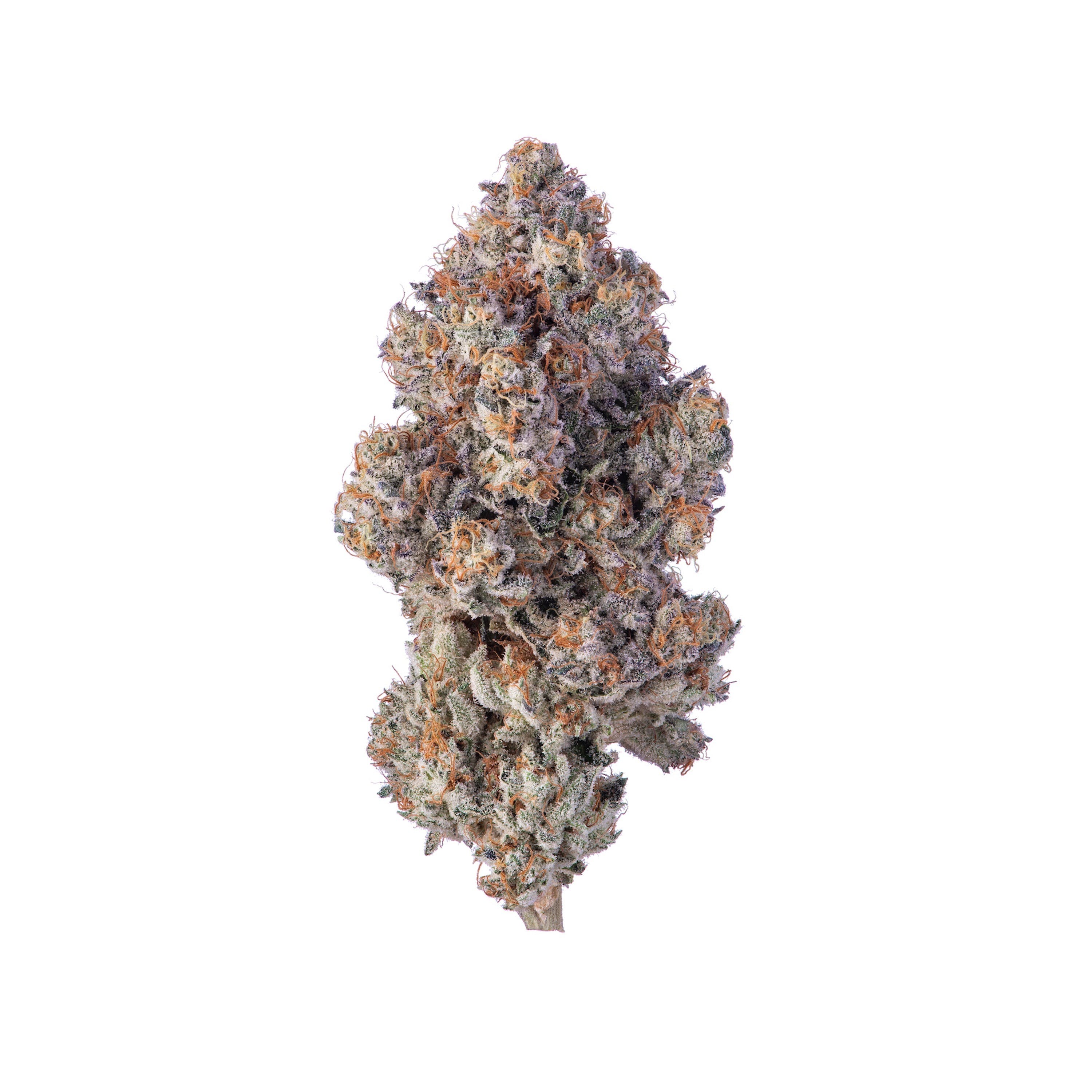 Violet Fog 1g Flower