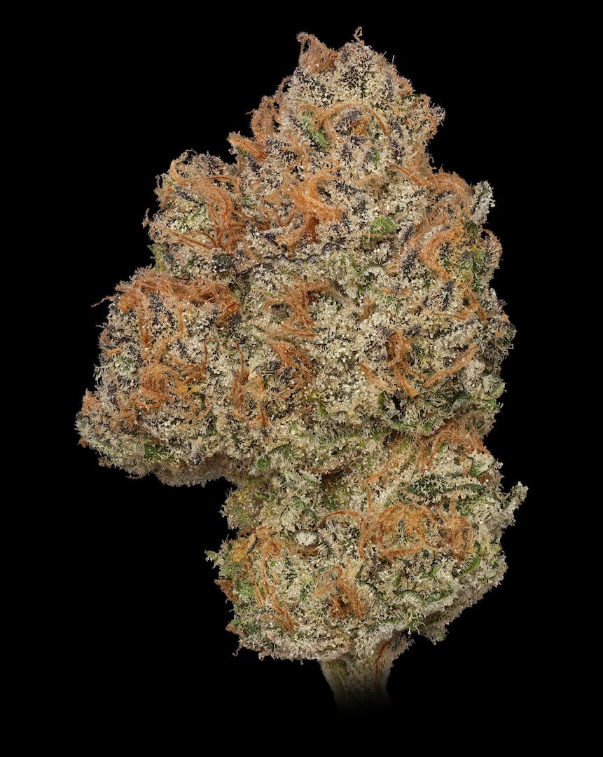 AK Cookies 1g Pre-Roll