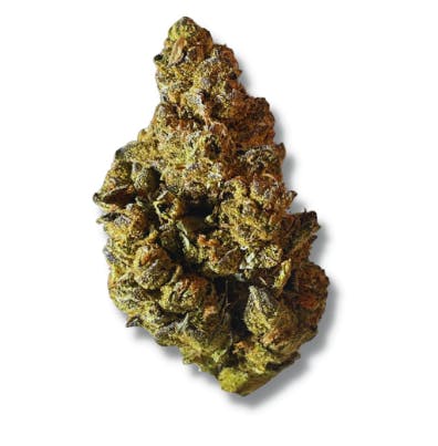 Exclusive - Julius Caesar (H) - 28g