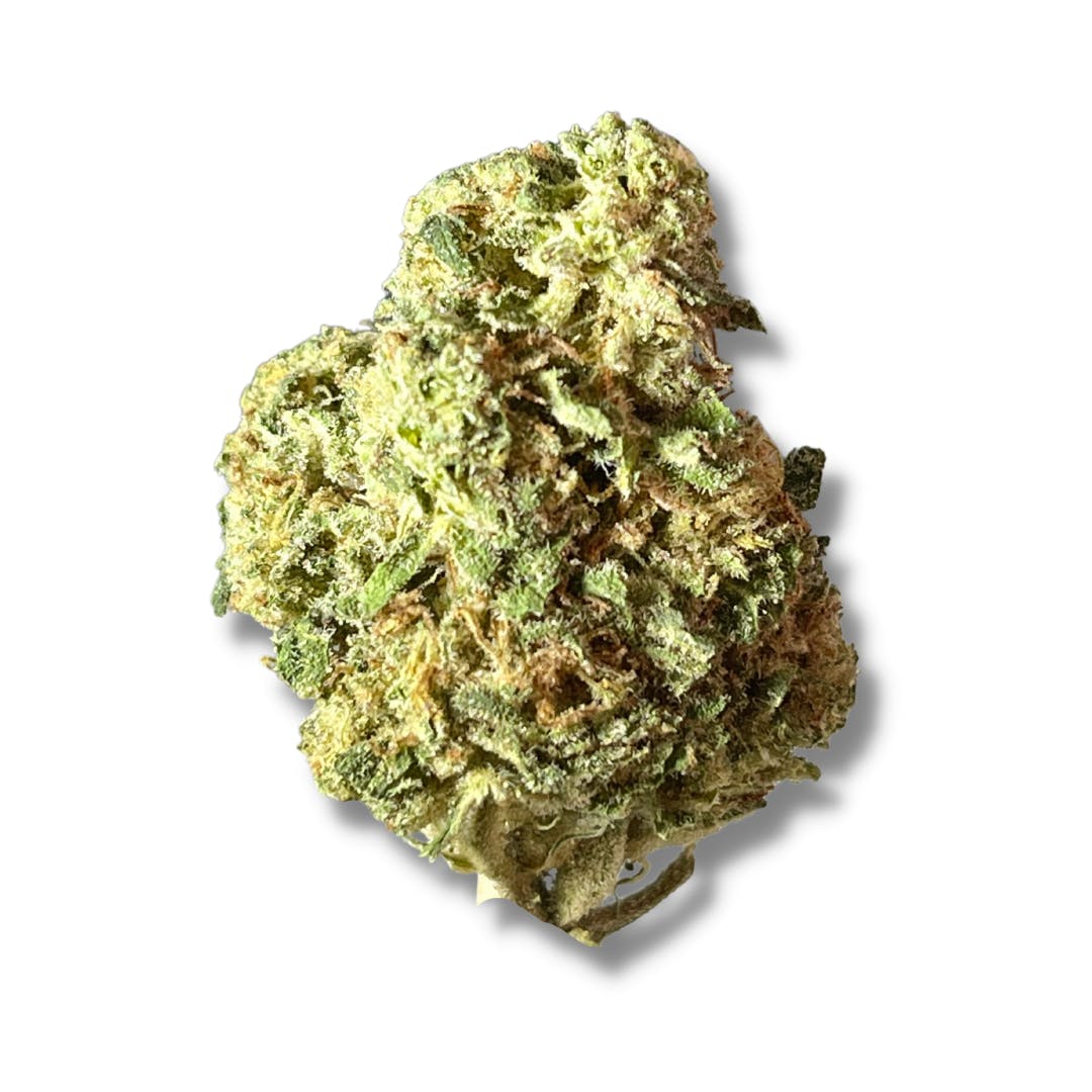 BLACK - PINEAPPLE JACK (H) 14 G